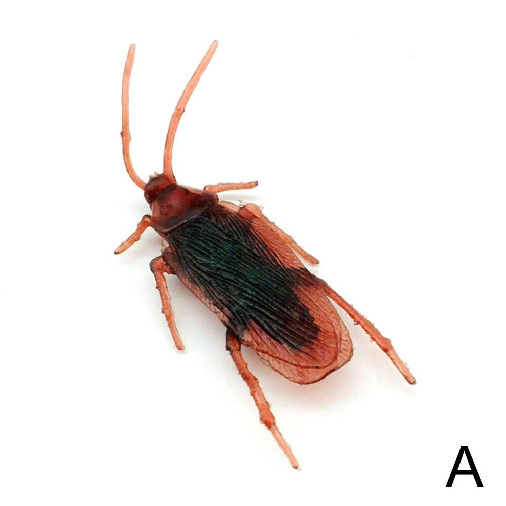 Fake Cockroach