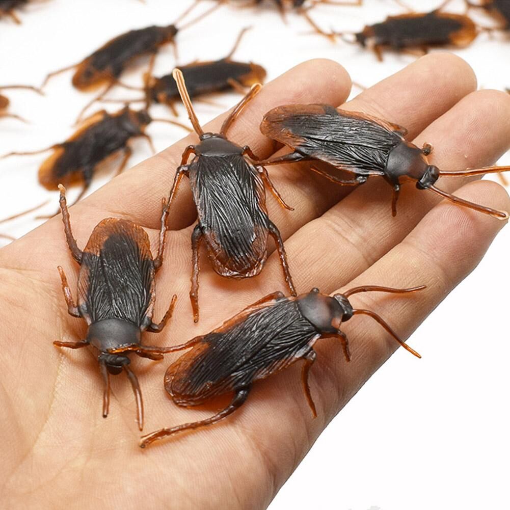 Fake Cockroach